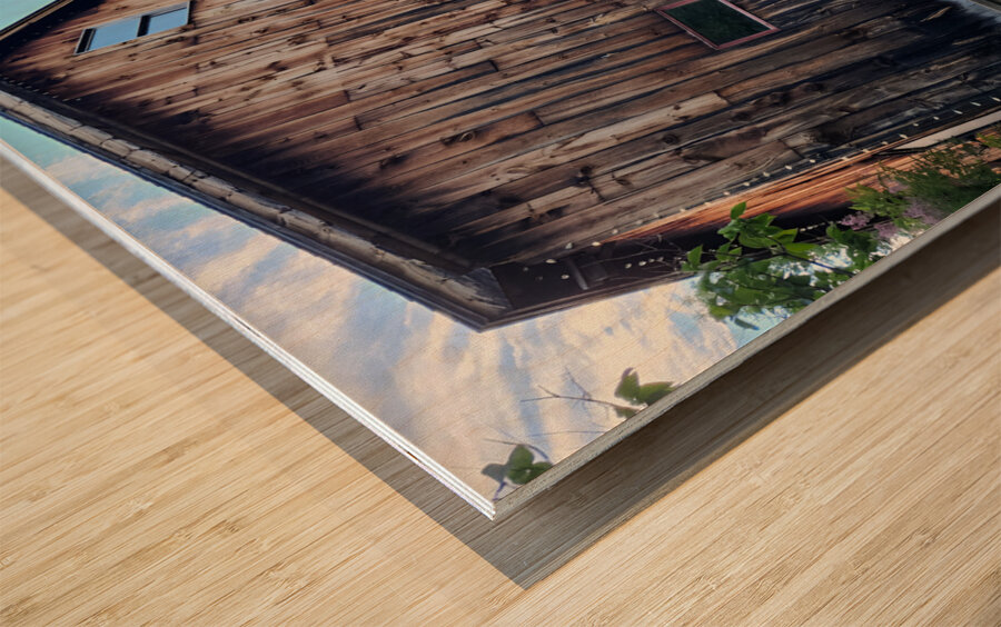 Brown Barn Wood print