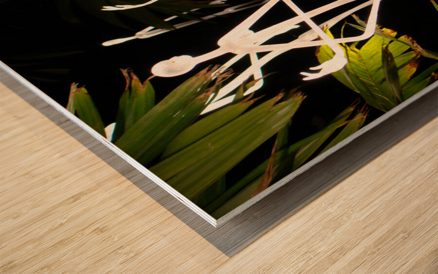 Ghostly Aliens Impression sur bois