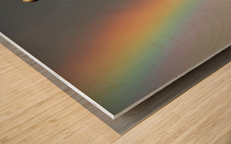 Rainbow & Flag Wood print