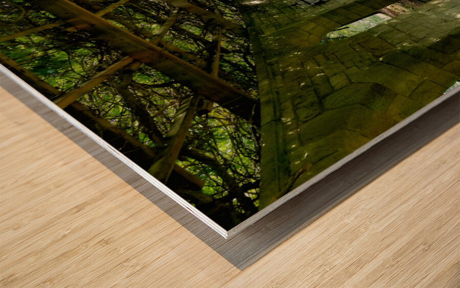 Mt Assisi Garden 2 Wood print