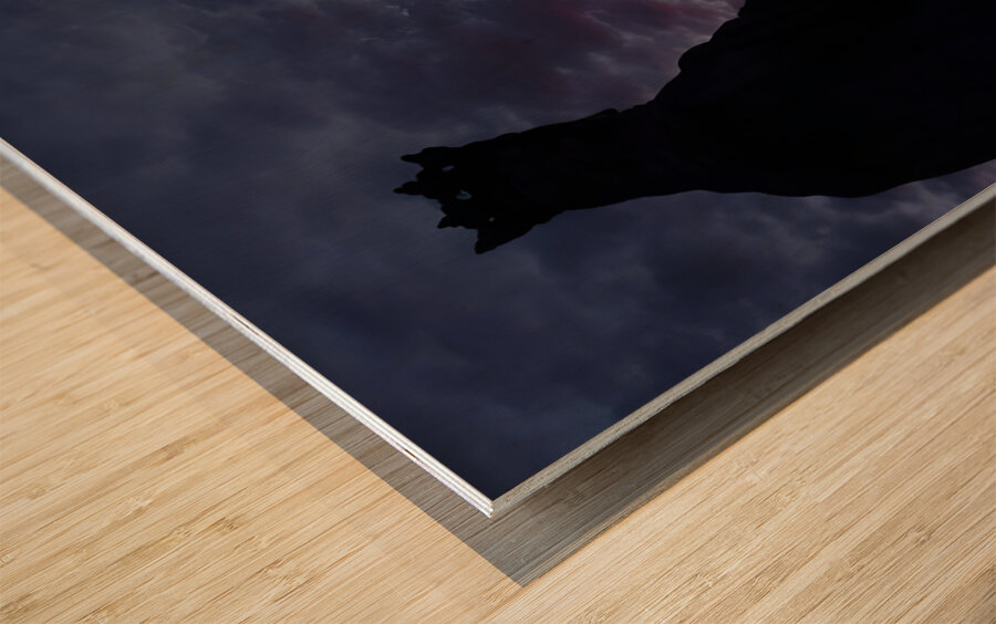 Statue n Sunset Wood print