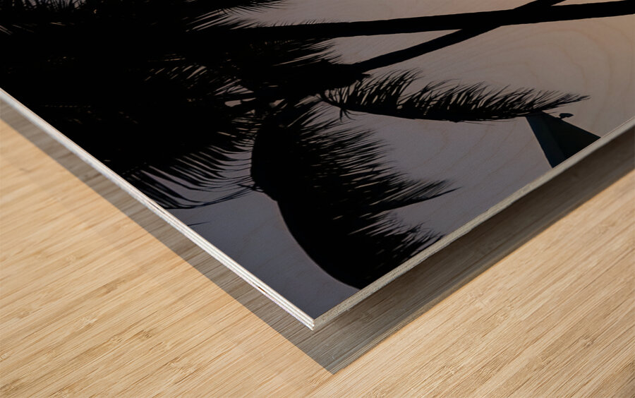 Florida Keys Sunrise & Palms 1 Wood print