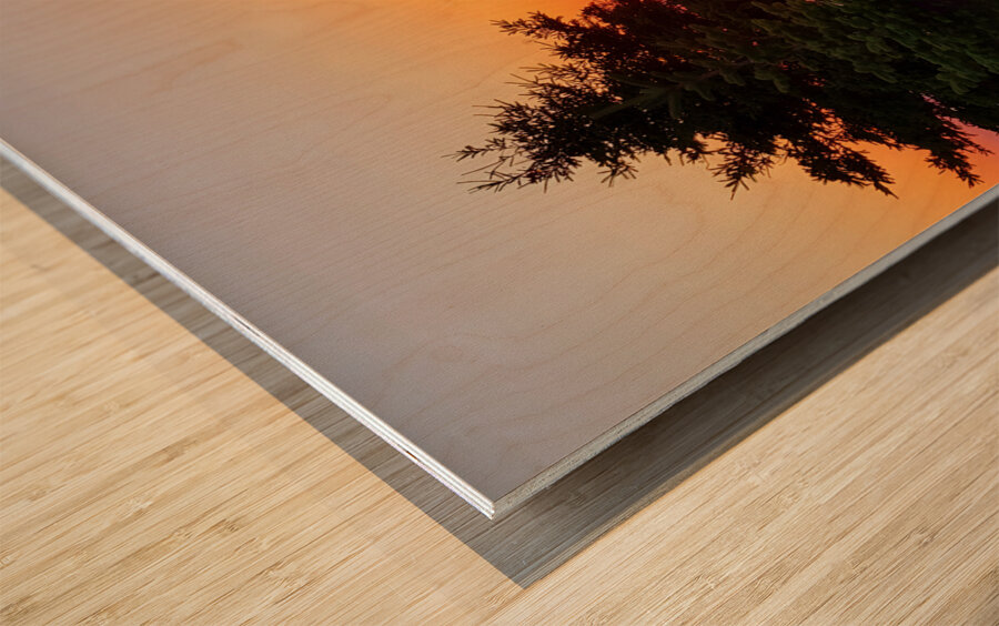 Acadia Sunrise Wood print