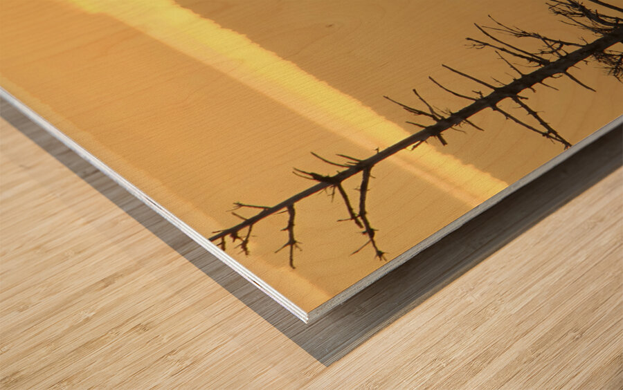 Golden Sunrise Wood print