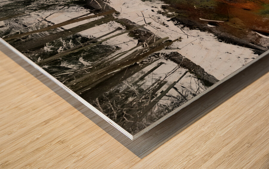 Reitz  2 Lower AMD Wood print