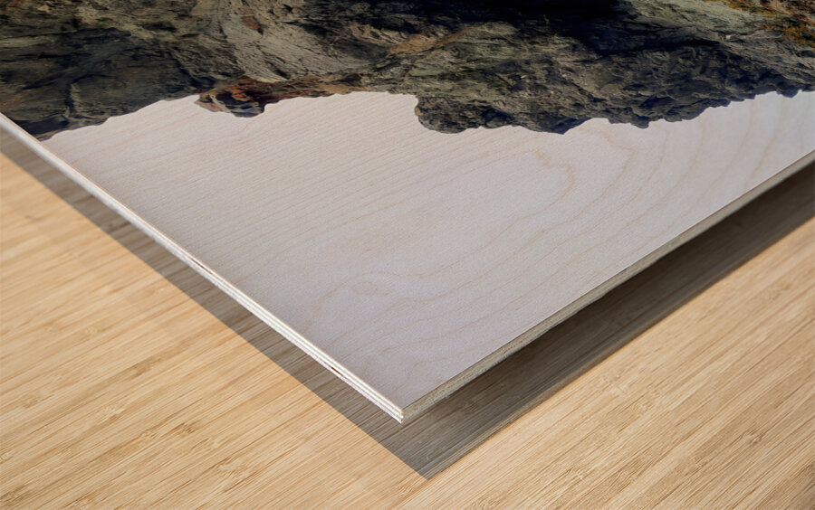 California Coast Wood print