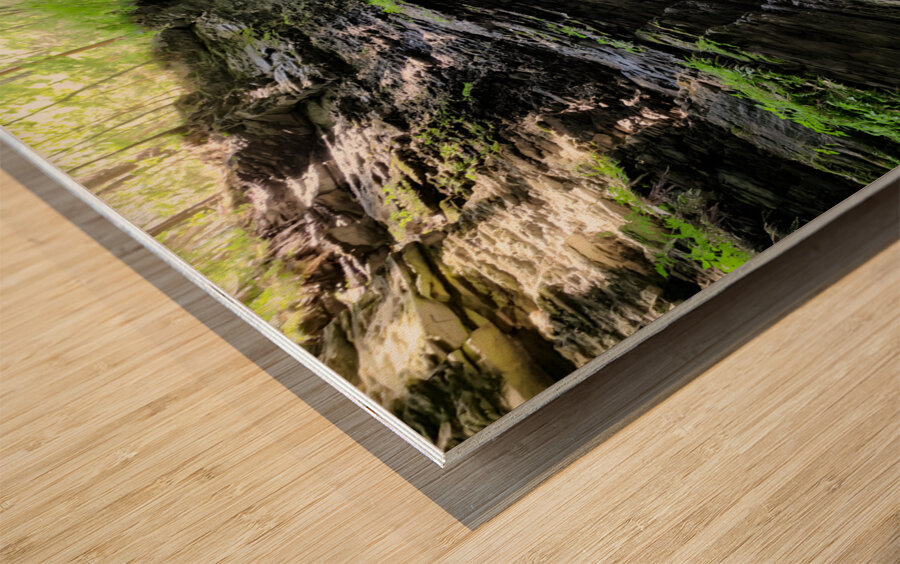 Watkins Glen State Park 2 Impression sur bois