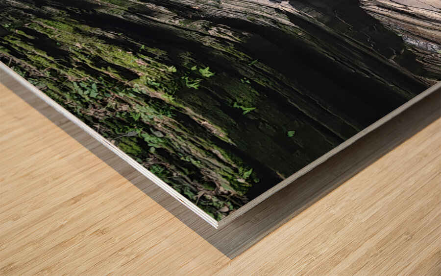 Watkins Glen State Park 1 Wood print