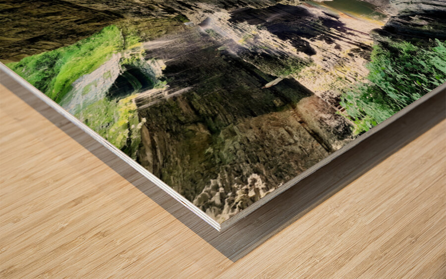 Watkins Glen State Park Wood print