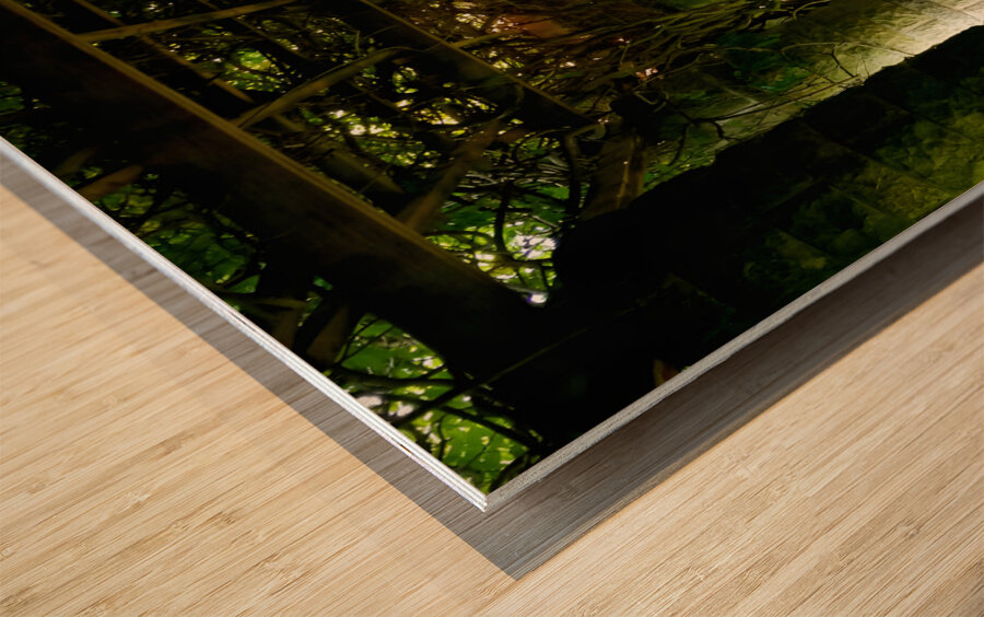 Mt Assisi Garden 3 Wood print