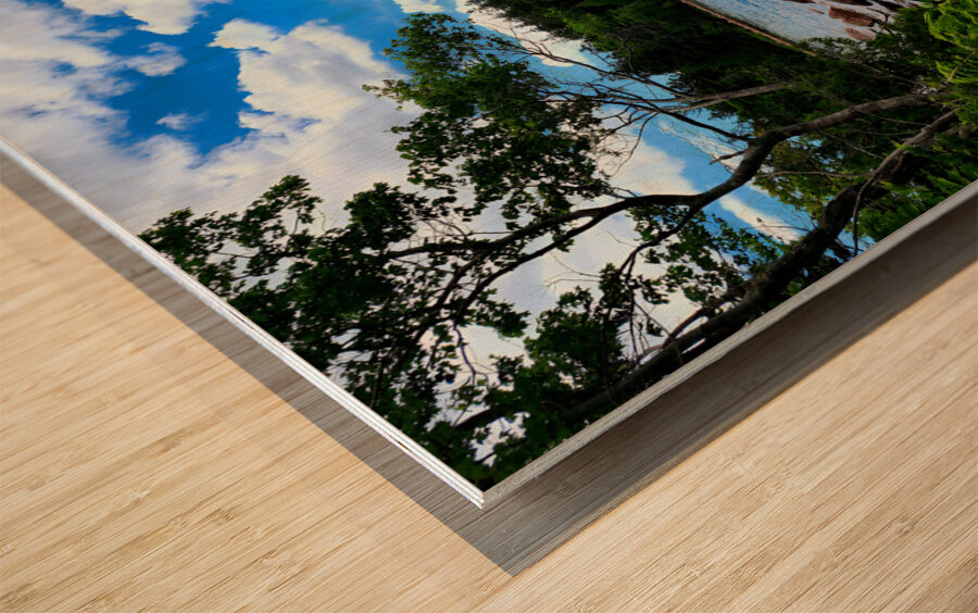 Acadia Landscape Wood print