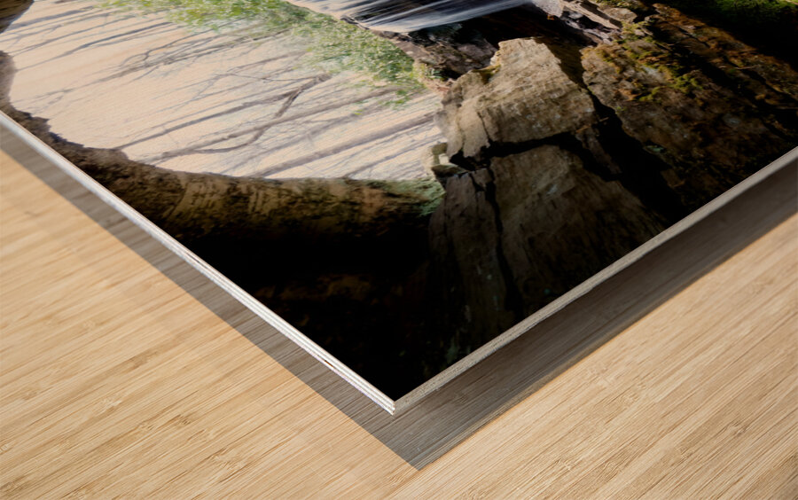 Cole Run Falls Wood print