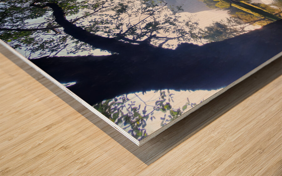 Yosemite 2 Wood print