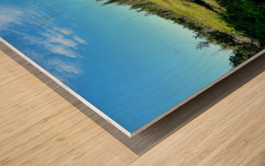 Acadia Wetland Wood print