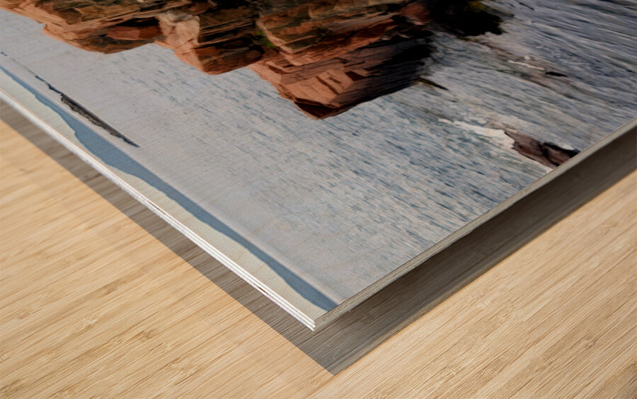 Acadia Coast Wood print