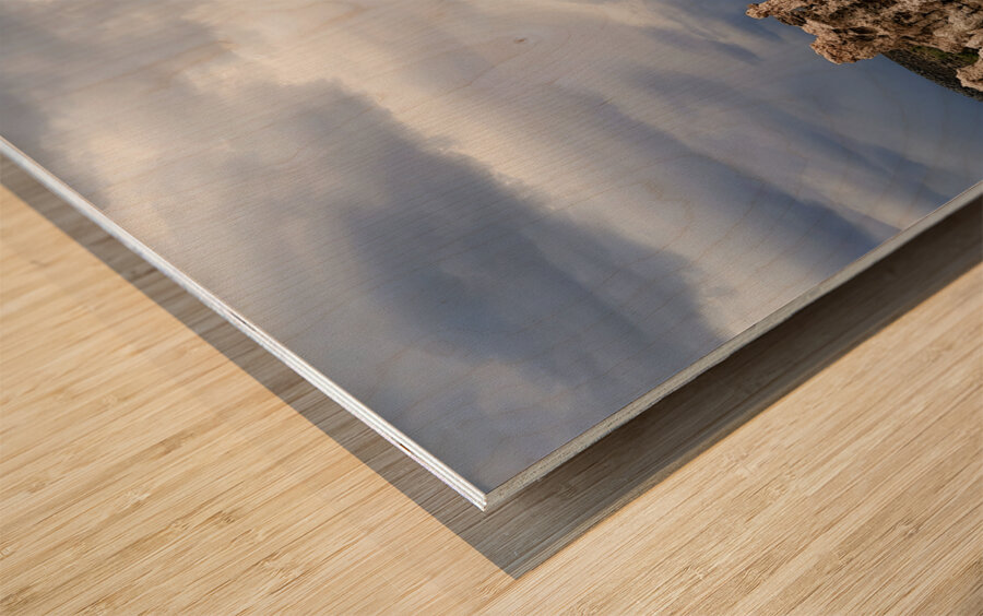 Rainstorm At Mono Lake Wood print