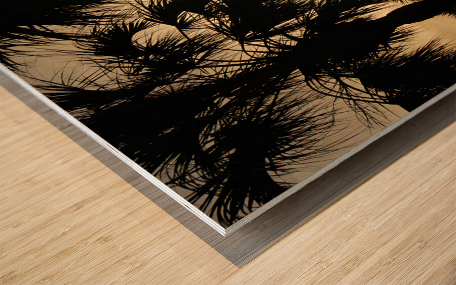 Palm Trees Silhouette Wood print