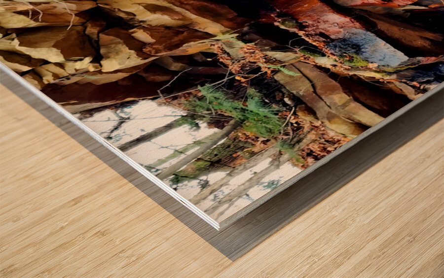 Iron Oxide Melt Wood print