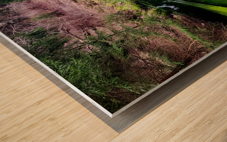 Reitz  2 AMD Wood print