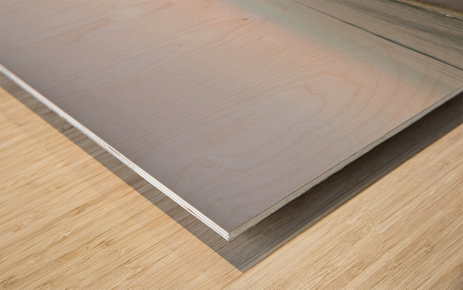 Beach Dawn Impression sur bois