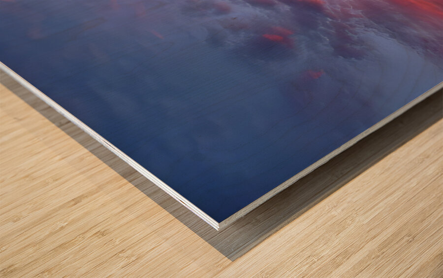 Pink In The Morning Wood print