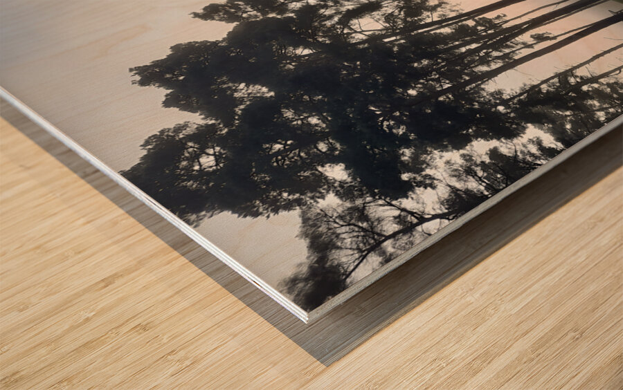 Wilmore Dam Reflections Wood print