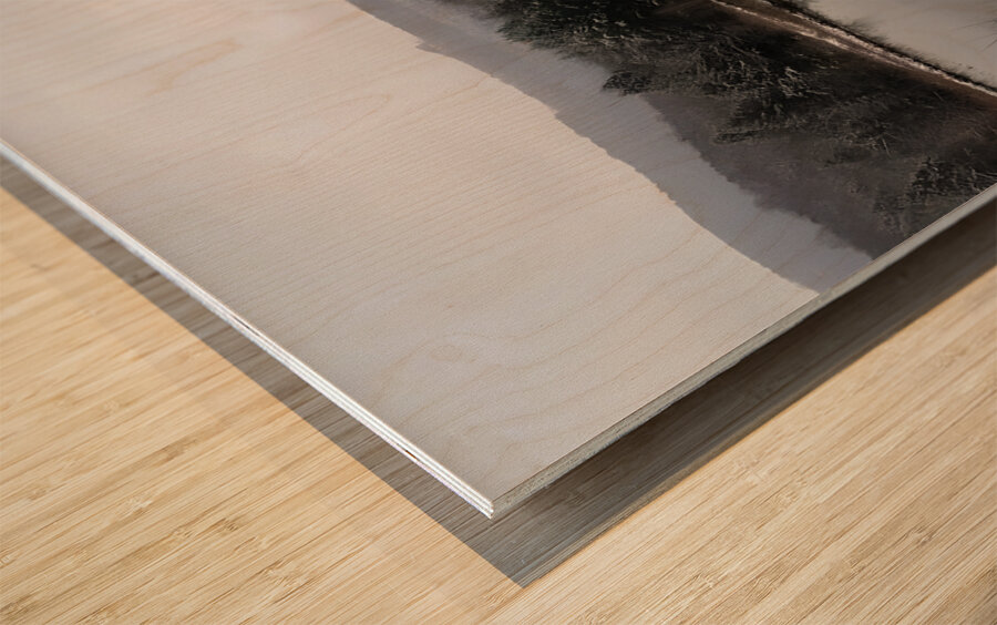 Oven Run B Wood print