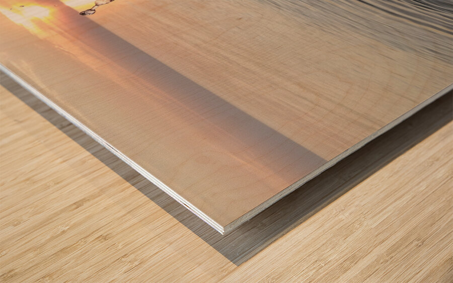 4th Of July Splash  Wood print