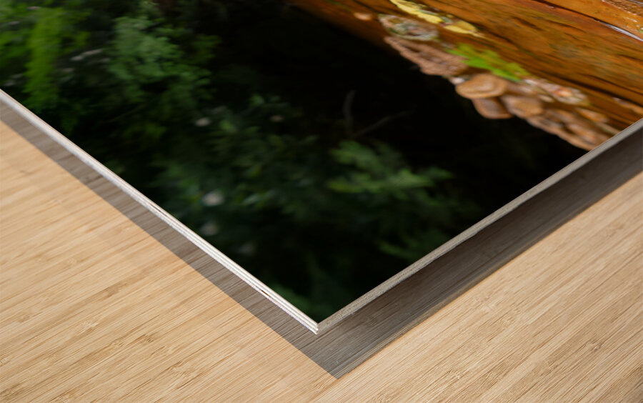 Carnahan Run Impression sur bois