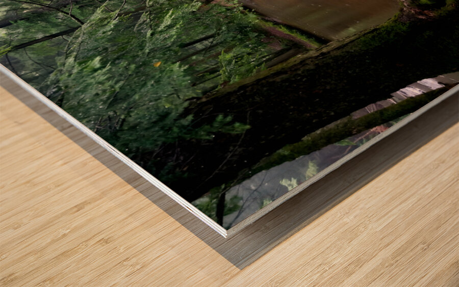 Hemlock Stream Wood print