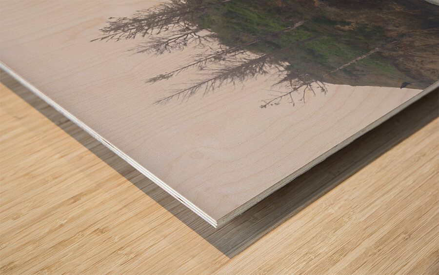 Pacific Coast Mist Impression sur bois