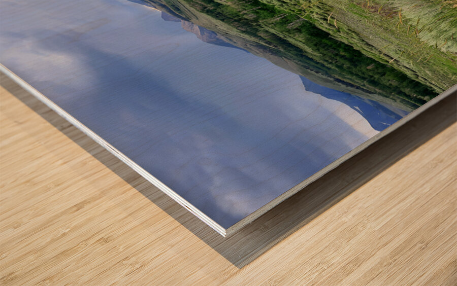 Sierra Nevada Wood print