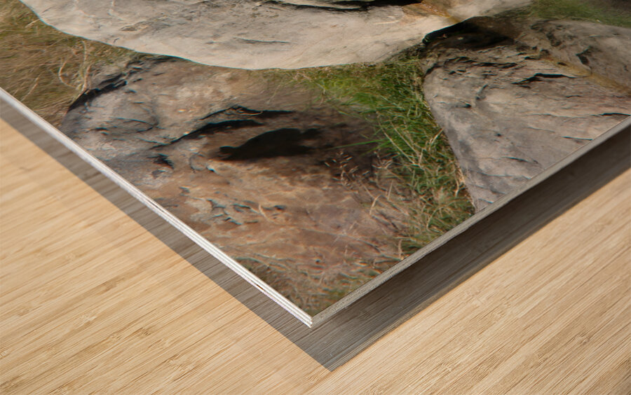 Rock Smile Wood print