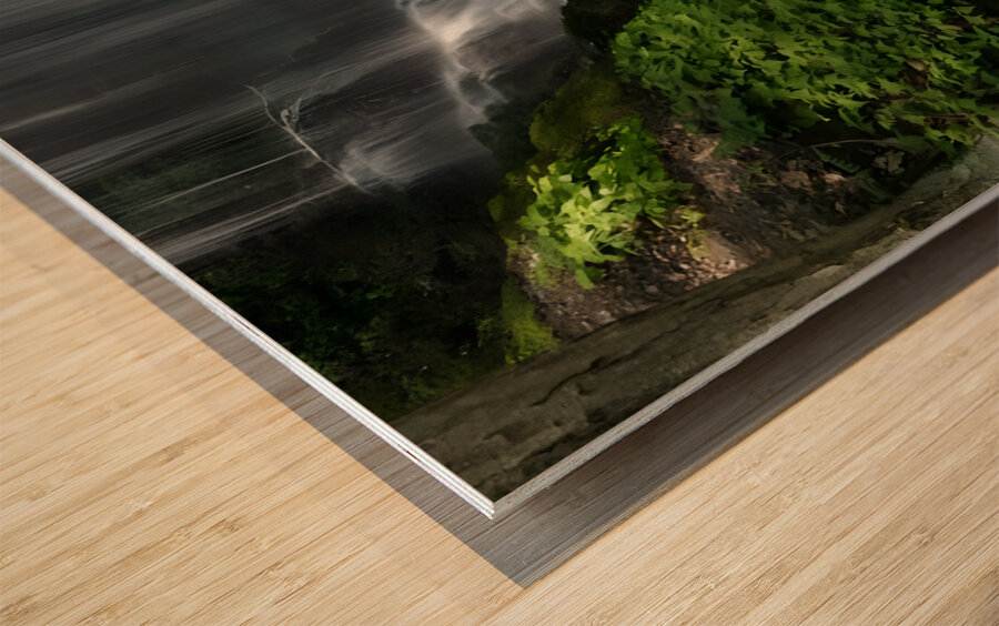 Bushkill Falls Wood print