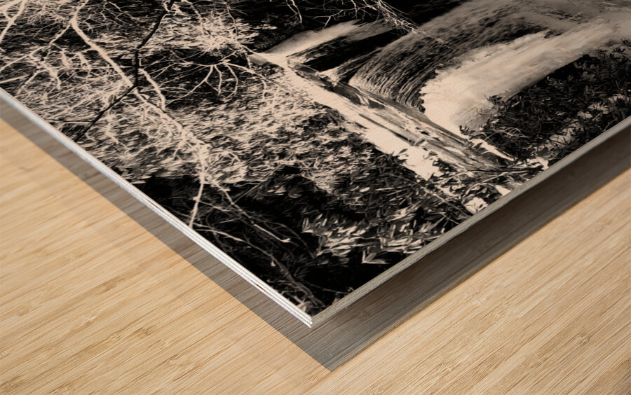 Cucumber Falls Wood print