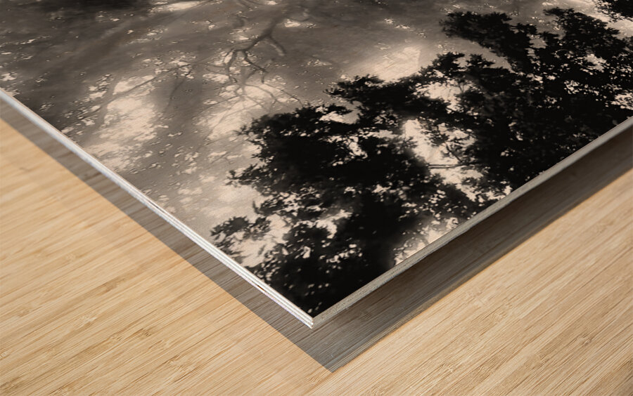 Misty Morning Rays Wood print