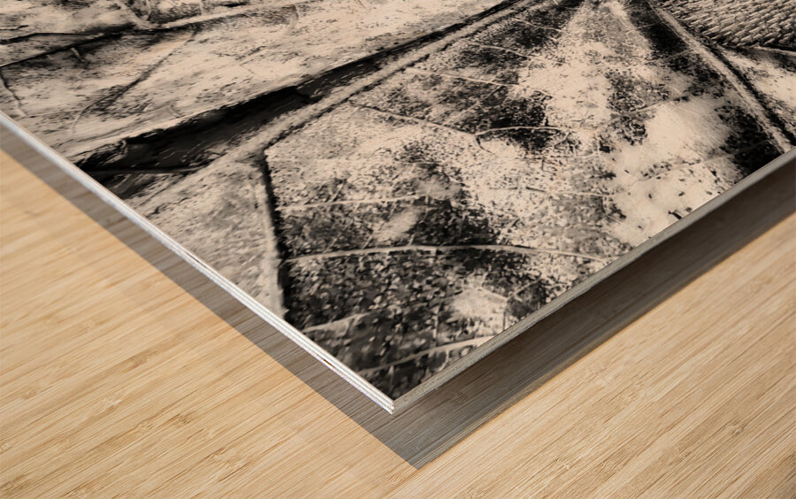 Botanical Shapes Wood print