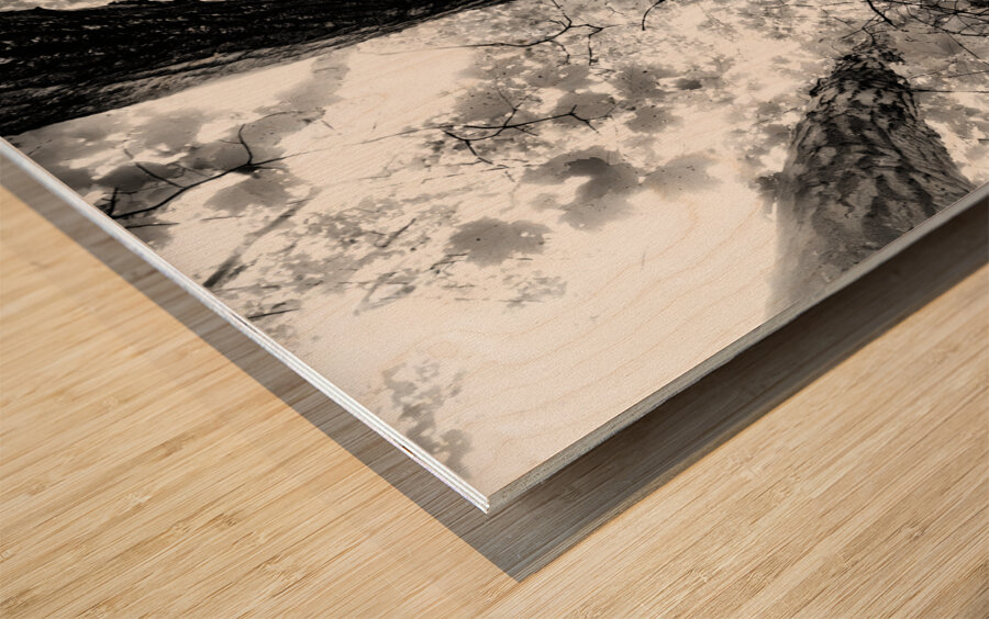 Forest Squad Wood print