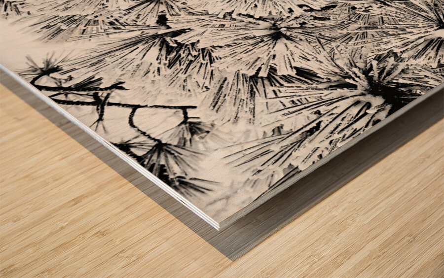 Snowy Conifer Wood print