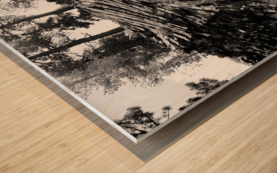 Devils Postpile National Monument Wood print