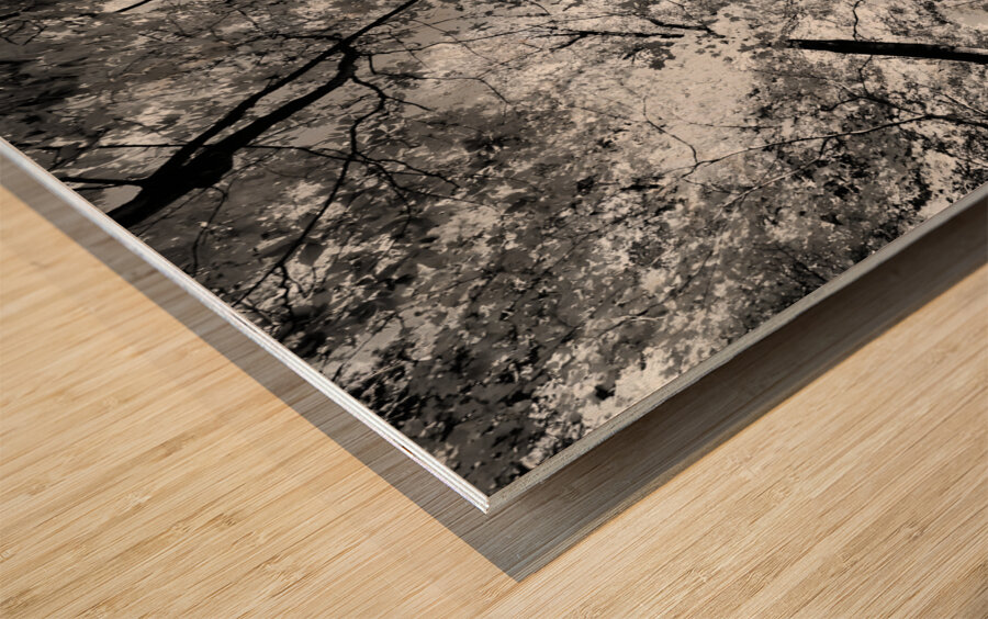 Forest Canopy Wood print