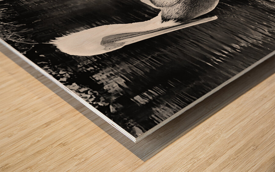 Stork Trio Wood print