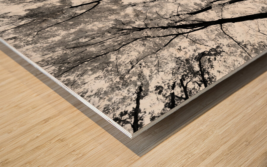 Pennsylvania Woods Wood print