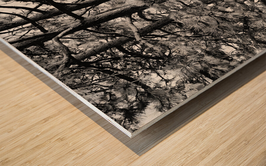 Evergreen Trident Impression sur bois