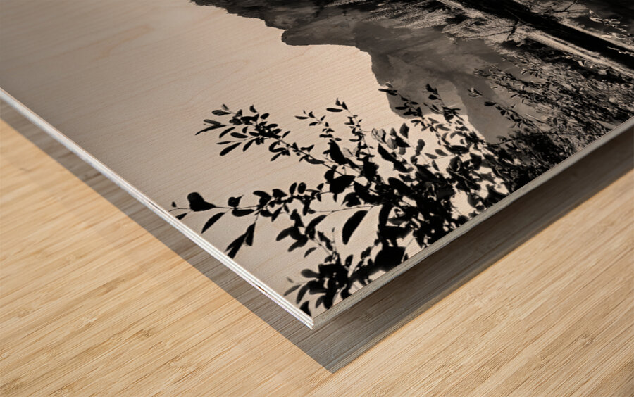 Yosemite Valley Wood print