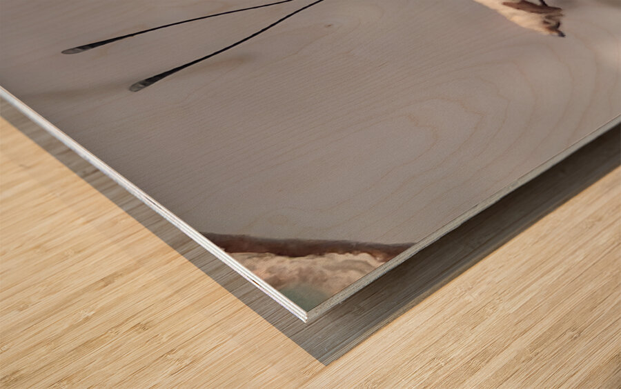 Butterfly Pullup Wood print