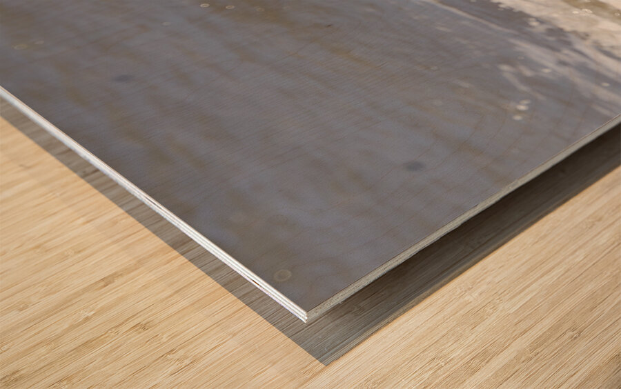 Sneaky Blue Heron Wood print