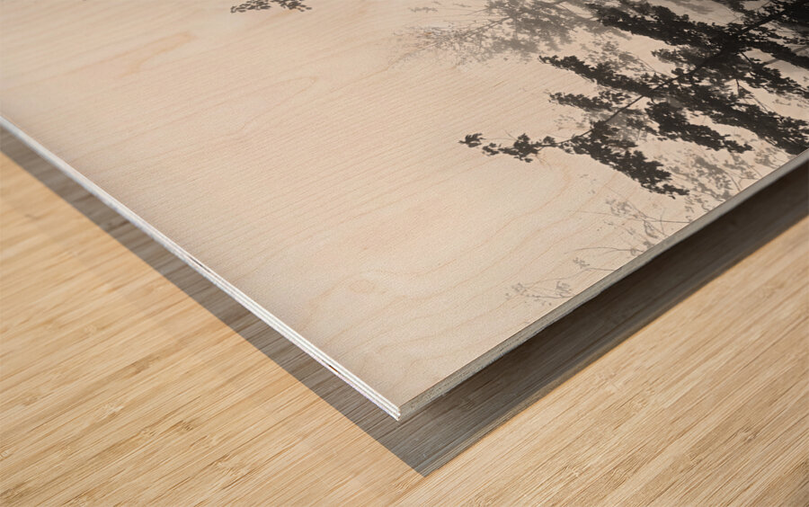 Misty Morning Wood print