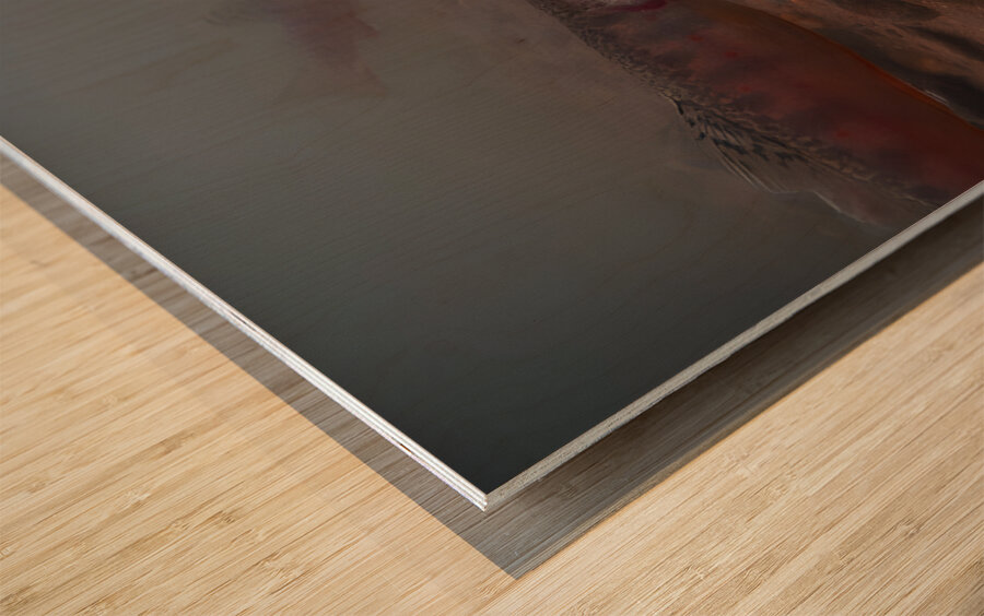 Shade Brook Trout Fave 1 Impression sur bois