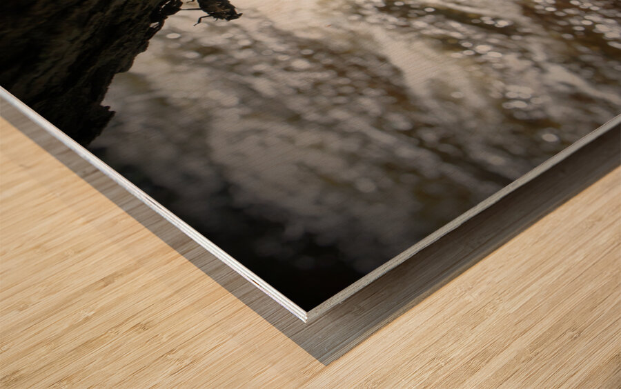 Stonefly Shucks Impression sur bois